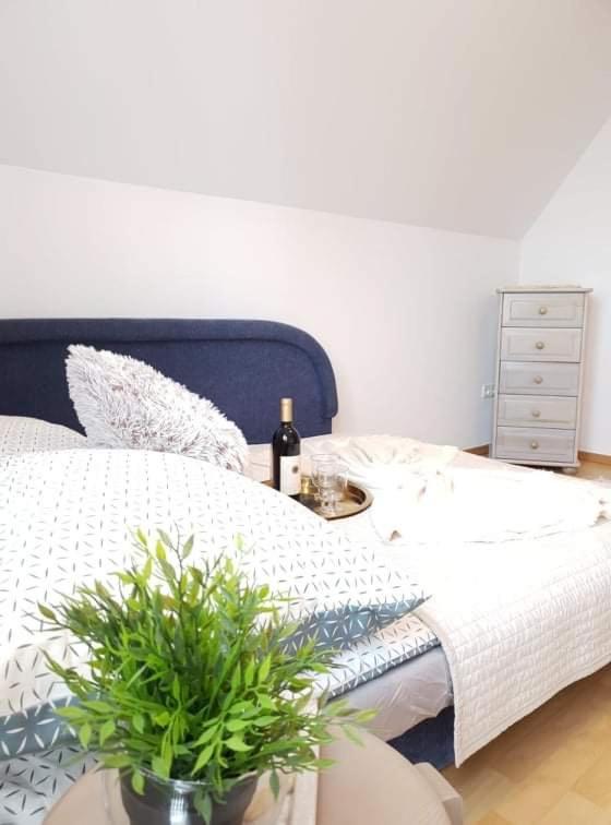 Apartament Dominik Zakopane Buitenkant foto