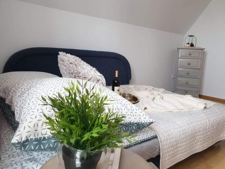 Apartament Dominik Zakopane Buitenkant foto